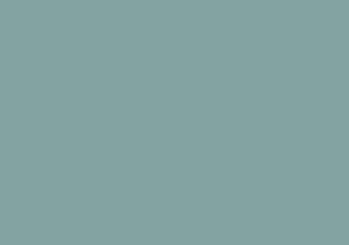 pecetta-navy-1